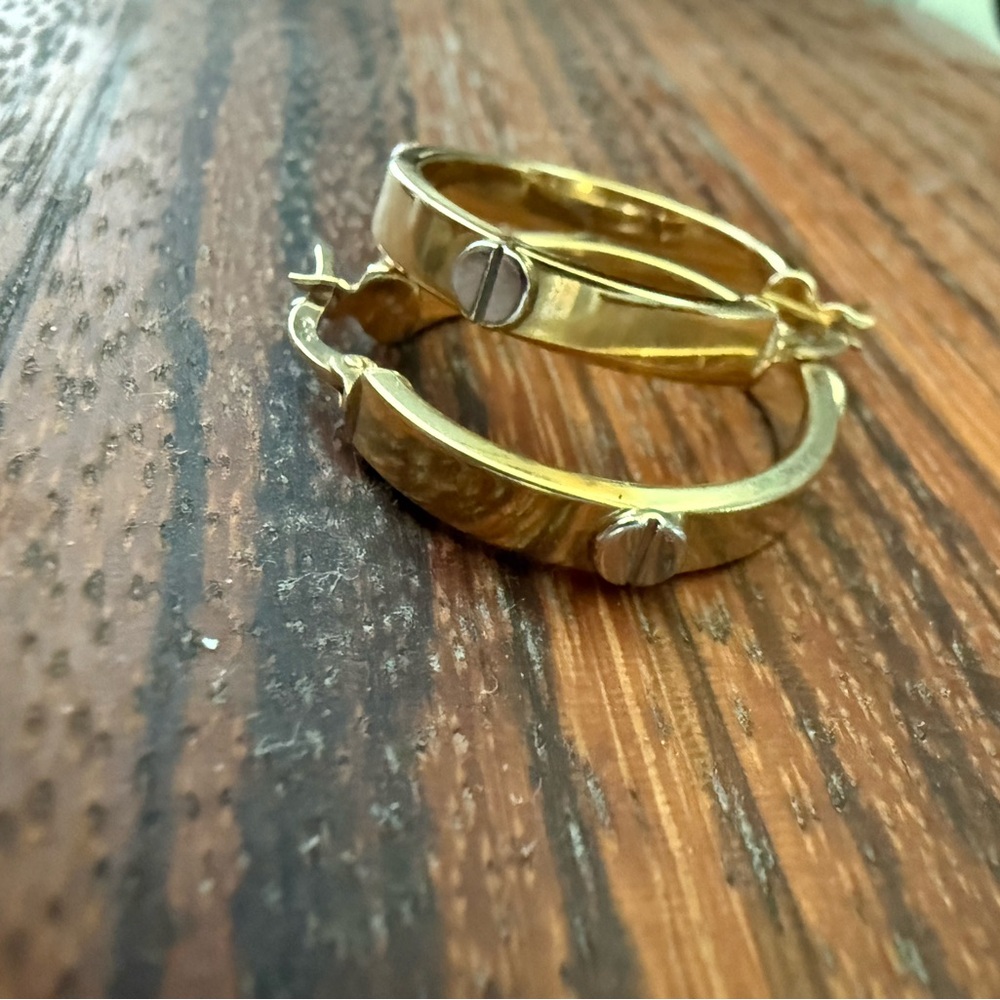 Elegant Gold Hoop Earrings